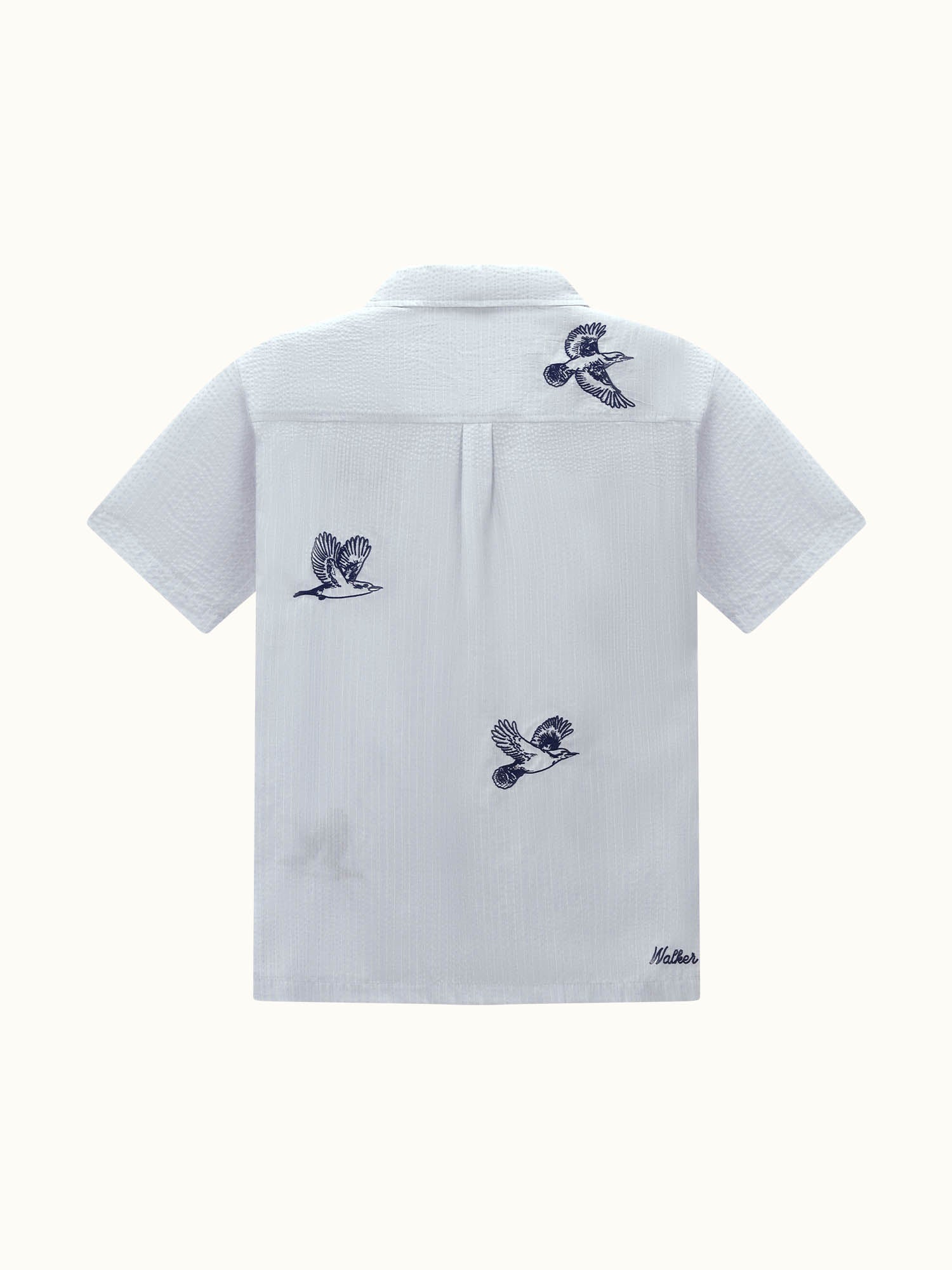 Flight SS Shirt Sky Blue