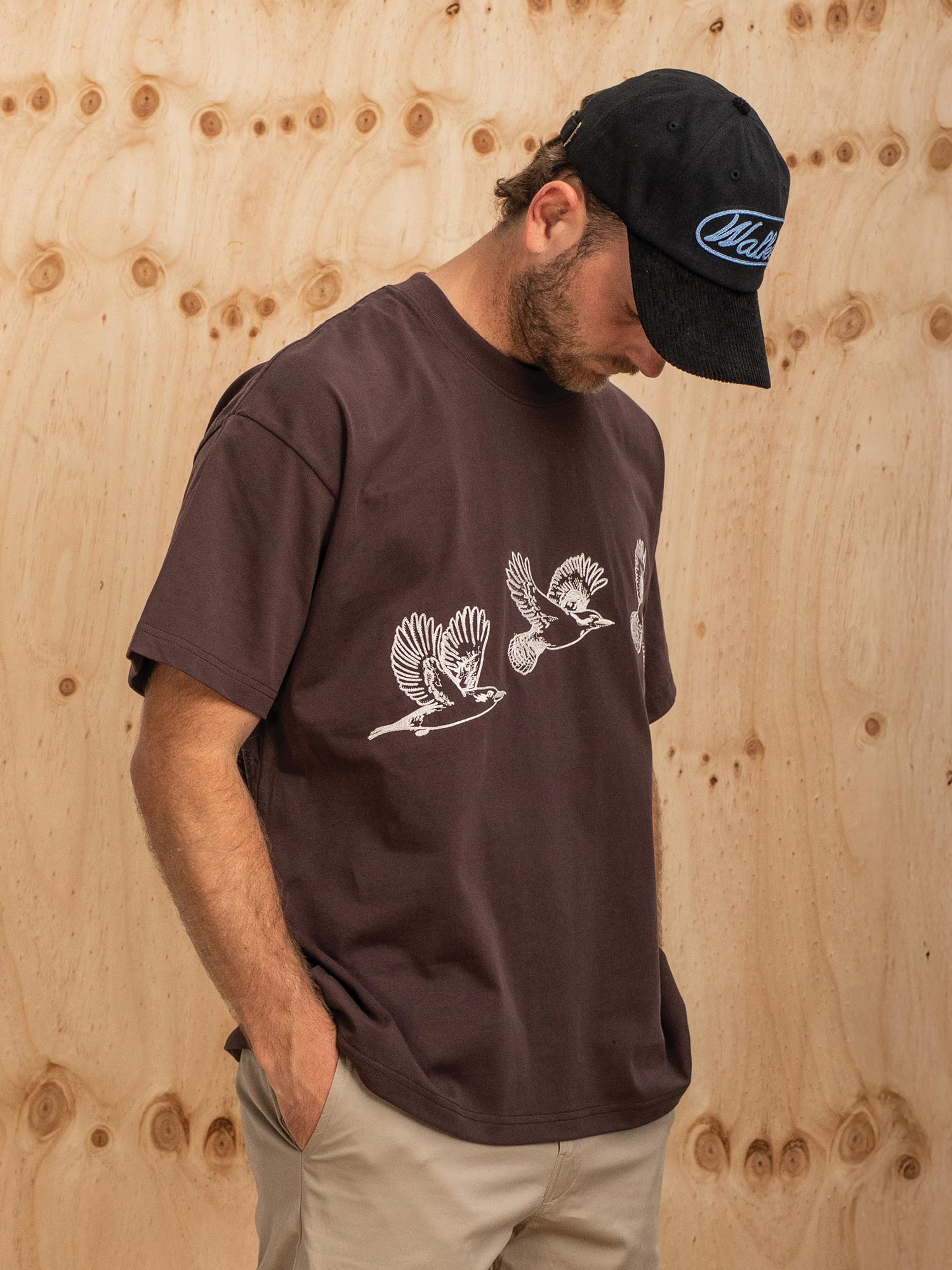 Lasso 6-Panel Cap Coal Black